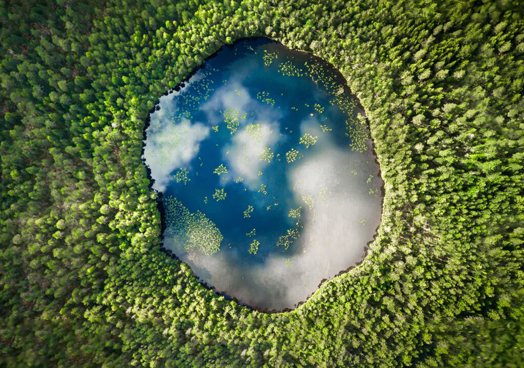 Chapter 6 header image sustainability report