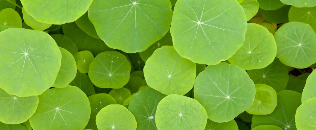 Shutterstock 121329568b